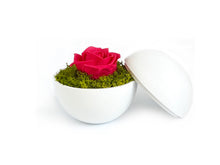画像をギャラリービューアに読み込む, Flower of Love - globe "hot pink rose & green moss"