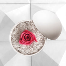 画像をギャラリービューアに読み込む, Flower of Love - globe "hot pink rose & white moss"
