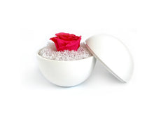 画像をギャラリービューアに読み込む, Flower of Love - globe "hot pink rose & white moss"