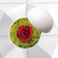 画像をギャラリービューアに読み込む, Flower of Love - globe "red rose & green moss"