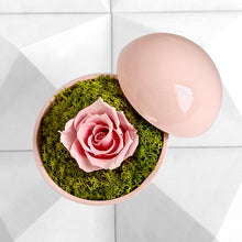 画像をギャラリービューアに読み込む, Flower of Love - globe "baby pink rose & green moss"