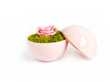画像をギャラリービューアに読み込む, Flower of Love - globe "baby pink rose & green moss"
