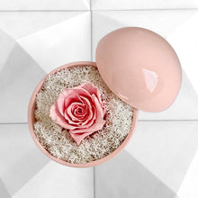 画像をギャラリービューアに読み込む, Flower of Love - globe "baby pink rose & white moss"