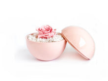 画像をギャラリービューアに読み込む, Flower of Love - globe "baby pink rose & white moss"