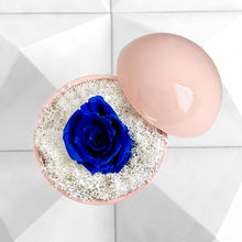 画像をギャラリービューアに読み込む, Flower of Love - globe "blue rose & white moss"