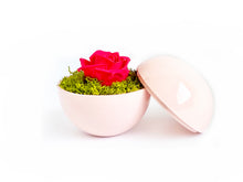 画像をギャラリービューアに読み込む, Flower of Love - globe "hot pink rose & green moss"