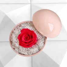 画像をギャラリービューアに読み込む, Flower of Love - globe "hot pink rose & white moss"