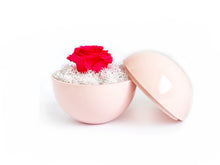 画像をギャラリービューアに読み込む, Flower of Love - globe "hot pink rose & white moss"