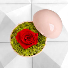 画像をギャラリービューアに読み込む, Flower of Love - globe "red rose & green moss"