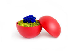 画像をギャラリービューアに読み込む, Flower of Love - globe "blue rose & green moss"