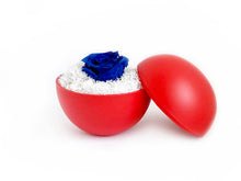 画像をギャラリービューアに読み込む, Flower of Love - globe "blue rose & white moss"