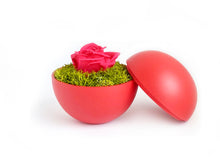 画像をギャラリービューアに読み込む, Flower of Love - globe "hot pink rose & green moss"