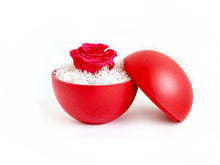 画像をギャラリービューアに読み込む, Flower of Love - globe "hot pink rose & white moss"