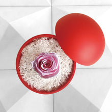 画像をギャラリービューアに読み込む, Flower of Love - globe "baby pink rose & white moss"