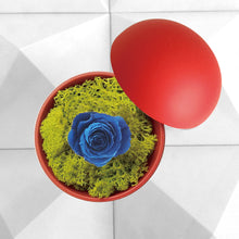 画像をギャラリービューアに読み込む, Flower of Love - globe "blue rose & green moss"