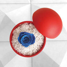 画像をギャラリービューアに読み込む, Flower of Love - globe "blue rose & white moss"