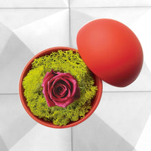 画像をギャラリービューアに読み込む, Flower of Love - globe "hot pink rose & green moss"