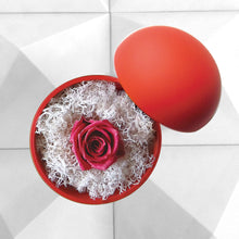 画像をギャラリービューアに読み込む, Flower of Love - globe "hot pink rose & white moss"
