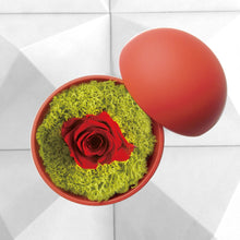 画像をギャラリービューアに読み込む, Flower of Love - globe "red rose & green moss"