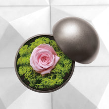 画像をギャラリービューアに読み込む, Flower of Love - globe "baby pink rose & green moss"