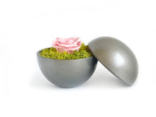 画像をギャラリービューアに読み込む, Flower of Love - globe "baby pink rose & green moss"