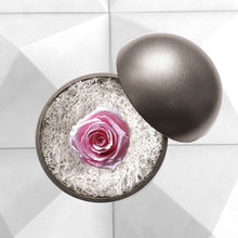 画像をギャラリービューアに読み込む, Flower of Love - globe "baby pink rose & white moss"