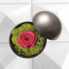 画像をギャラリービューアに読み込む, Flower of Love - globe "hot pink rose & green moss"