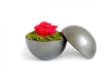 画像をギャラリービューアに読み込む, Flower of Love - globe "hot pink rose & green moss"