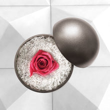 画像をギャラリービューアに読み込む, Flower of Love - globe "hot pink rose & white moss"