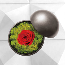 画像をギャラリービューアに読み込む, Flower of Love - globe "red rose & green moss"