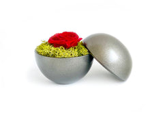 画像をギャラリービューアに読み込む, Flower of Love - globe "red rose & green moss"