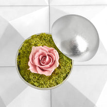 画像をギャラリービューアに読み込む, Flower of Love - globe "baby pink rose & green moss"