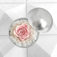 画像をギャラリービューアに読み込む, Flower of Love - globe "baby pink rose & white moss"