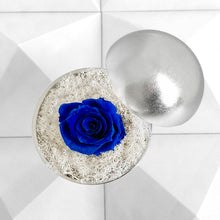 画像をギャラリービューアに読み込む, Flower of Love - globe "blue rose & white moss"