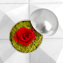 画像をギャラリービューアに読み込む, Flower of Love - globe "red rose & green moss"