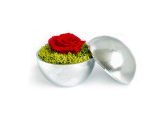 画像をギャラリービューアに読み込む, Flower of Love - globe "red rose & green moss"