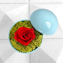 画像をギャラリービューアに読み込む, Flower of Love - globe &quot;red rose &amp; green moss&quot;
