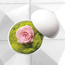 画像をギャラリービューアに読み込む, Flower of Love - globe &quot;baby pink rose &amp; green moss&quot;
