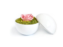 画像をギャラリービューアに読み込む, Flower of Love - globe &quot;baby pink rose &amp; green moss&quot;
