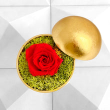 画像をギャラリービューアに読み込む, Flower of Love - globe &quot;red rose &amp; green moss&quot;
