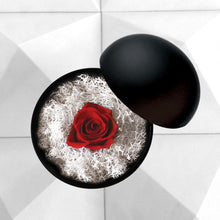 画像をギャラリービューアに読み込む, Flower of Love - globe &quot;red rose &amp; white moss&quot;
