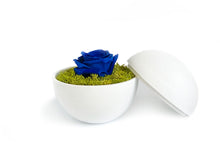 画像をギャラリービューアに読み込む, Flower of Love - globe &quot;blue rose &amp; green moss&quot;
