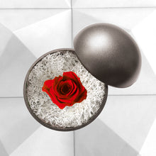 画像をギャラリービューアに読み込む, Flower of Love - globe &quot;red rose &amp; white moss&quot;

