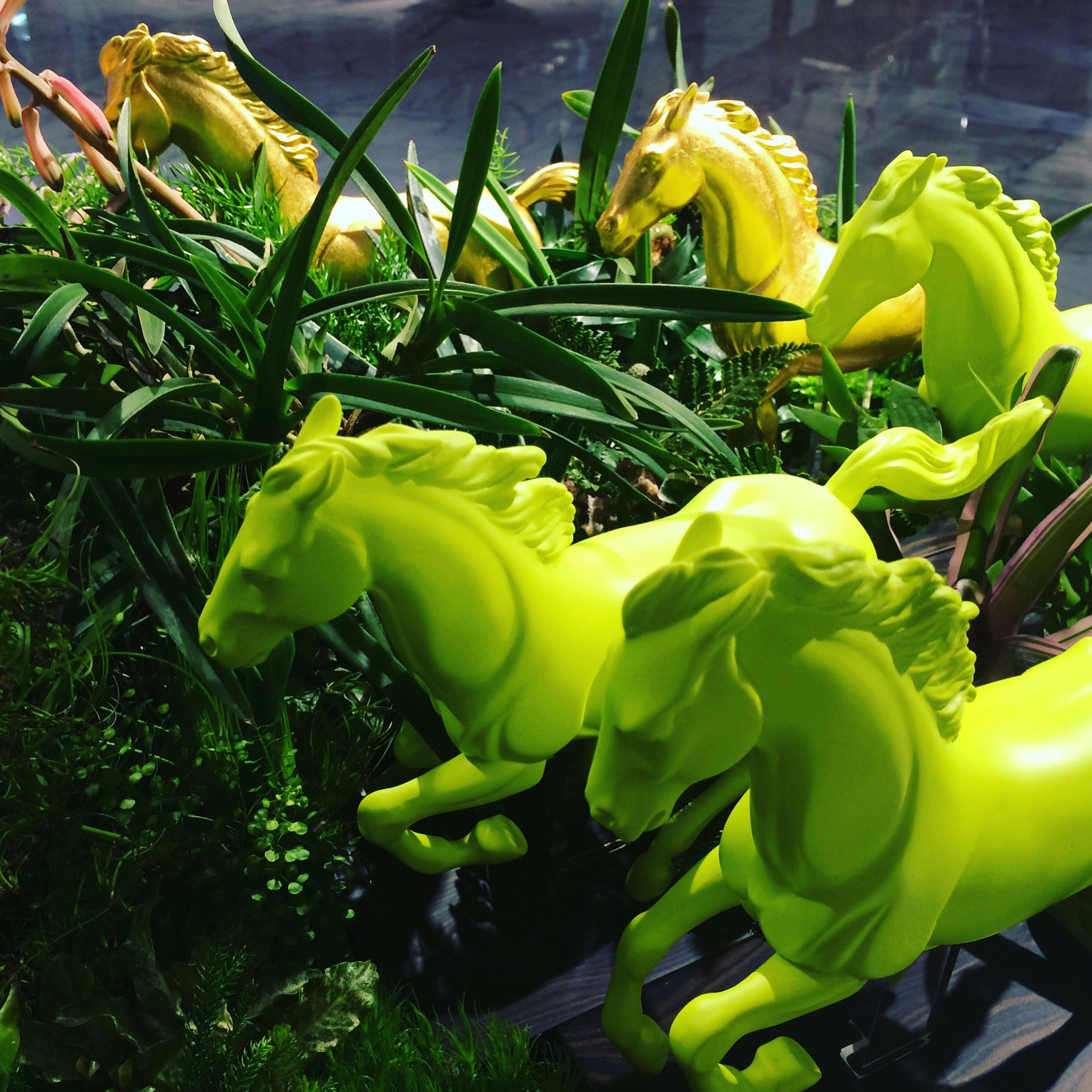 maison koichiro kimura